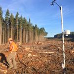 Intensive Biomass Harvesting in the Oregon Cascades for Long-Term Soil Productivity (LTSP)