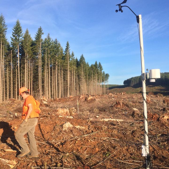 Harvesting peat moss contributes to climate change, Oregon State scientist  says