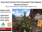 Does Root Carbon from Harvested Trees Replace Mineral Carbon? Effects of LTSP Treatments in a Western Oregon Douglas-fir Forest